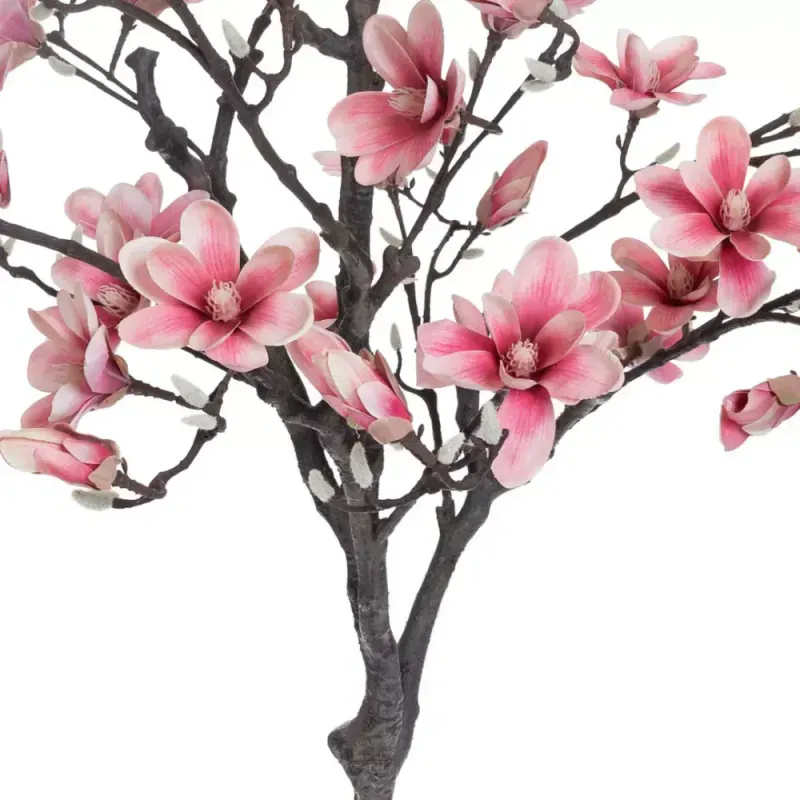 Magnolia Tre
