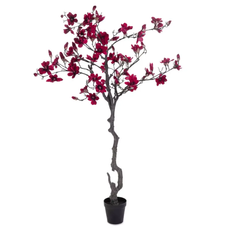 Magnolia Tre